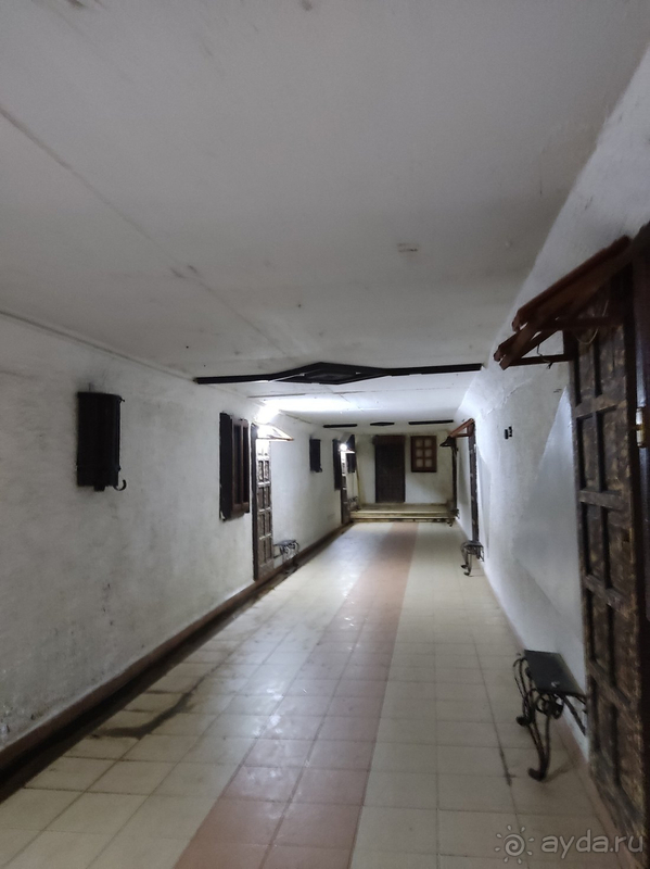 Отдых в ТИМО