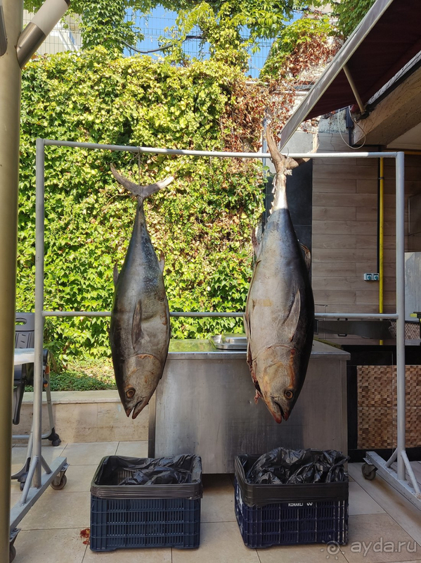 Отдых в ТИМО