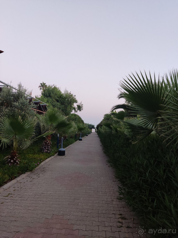 Отдых в ТИМО