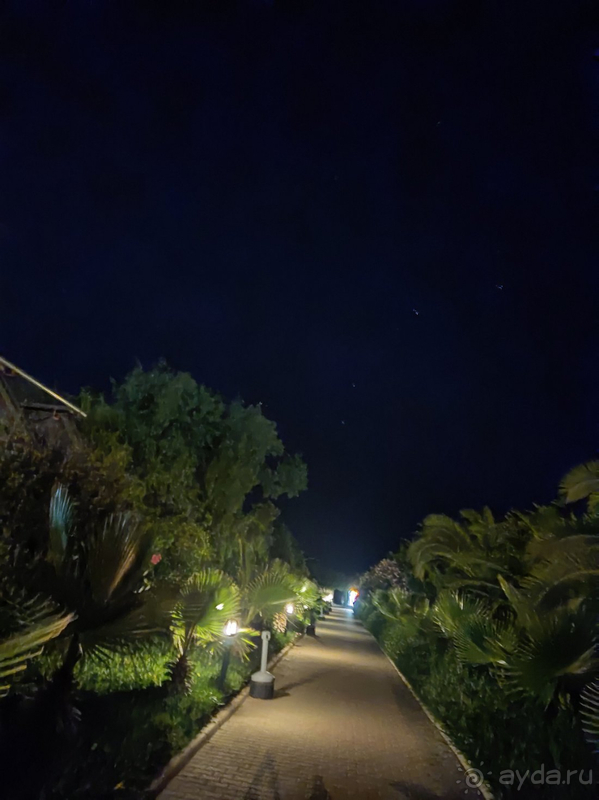 Отдых в ТИМО