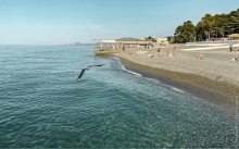 Наш отдых в отеле Моне