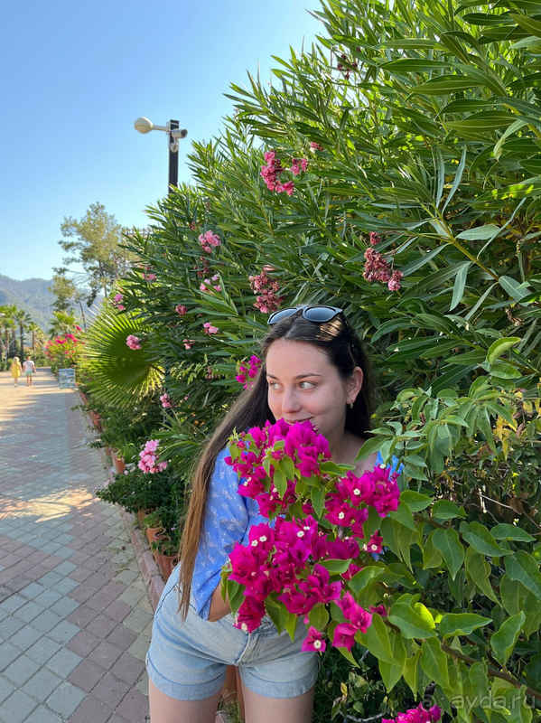 Приятный отдых в живописном месте Приятный отдых в живописном месте