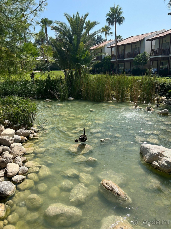 Отдых на отлично!!!!