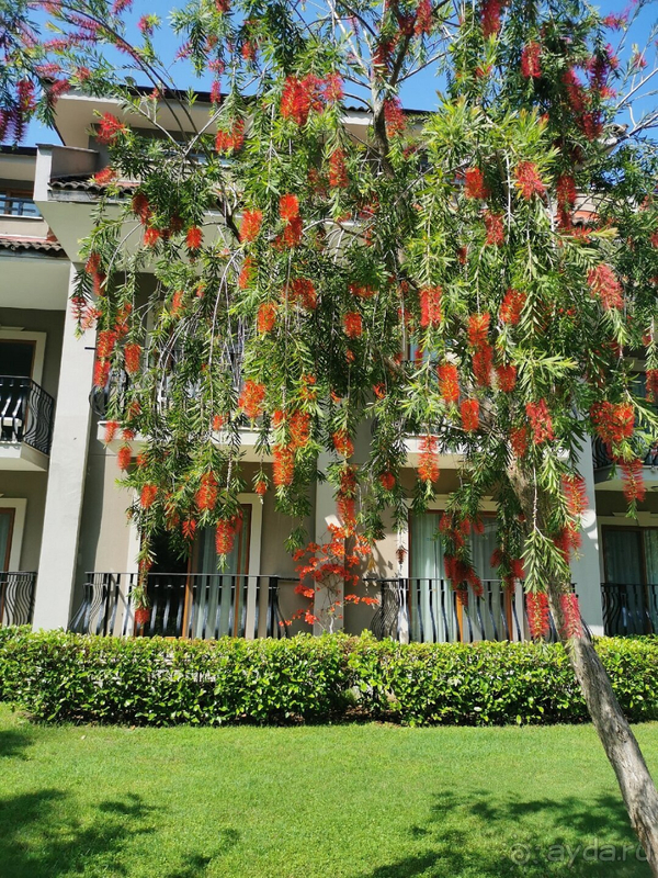 Отдых 2023 май!