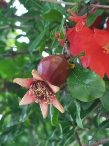 Отдых 2023 май!