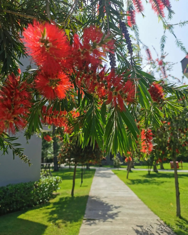 Отдых 2023 май!