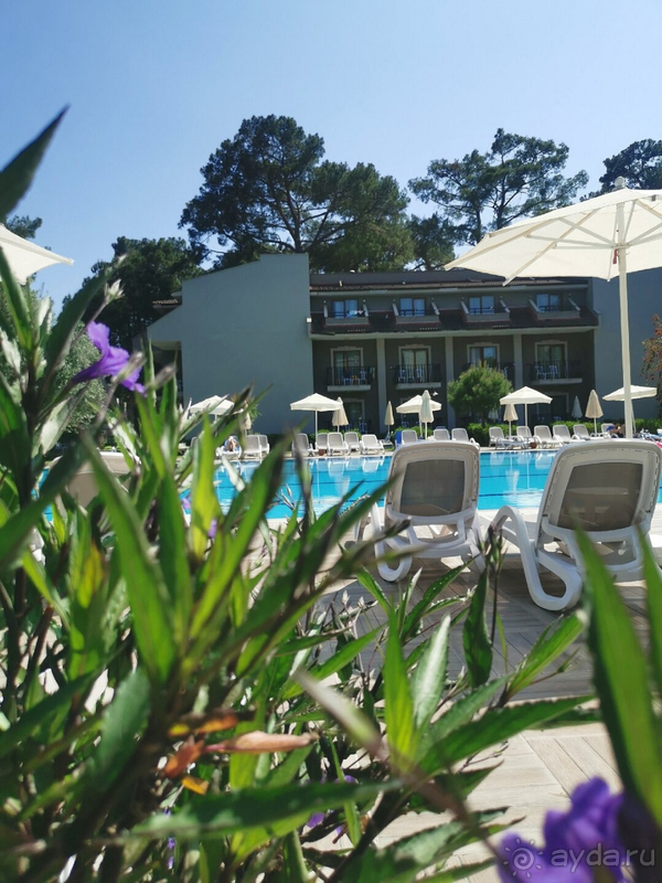 Отдых 2023 май!