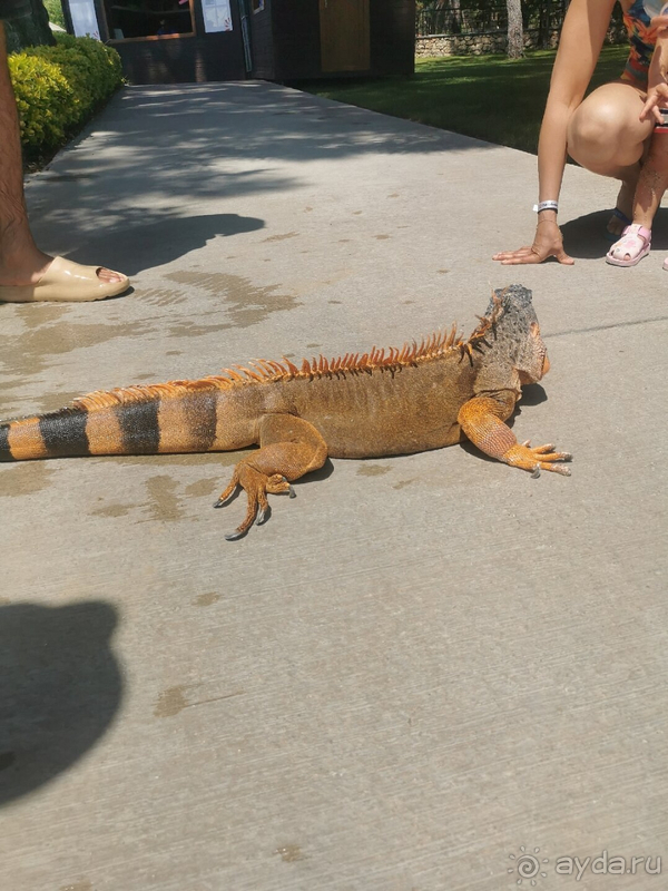 Отдых 2023 май!