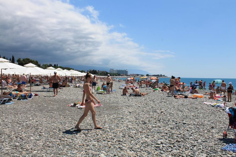 Отдых в Сочи Парк Отель