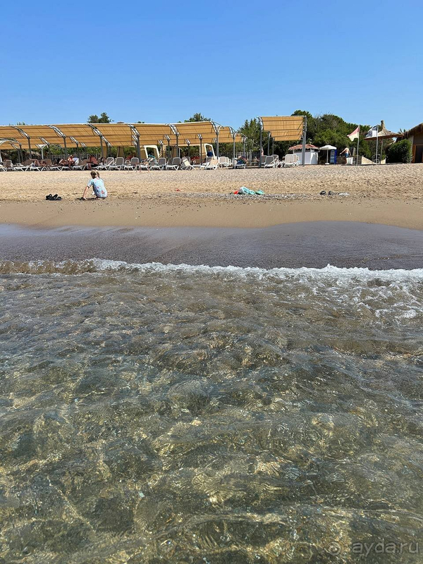 Отель - 5 звезд , сотрудники - 3 звезды