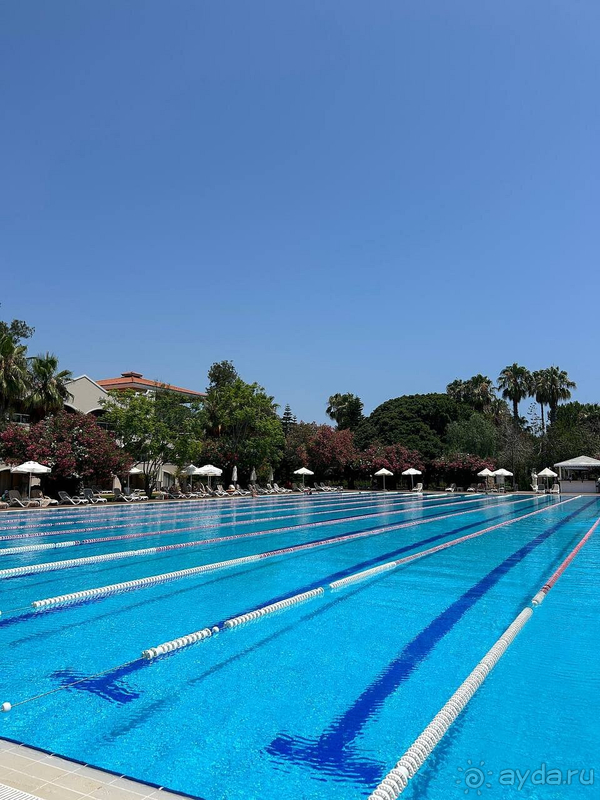 Отель - 5 звезд , сотрудники - 3 звезды