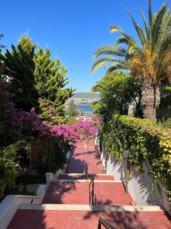 Хороший отель, прекрасное море, шикарные виды.