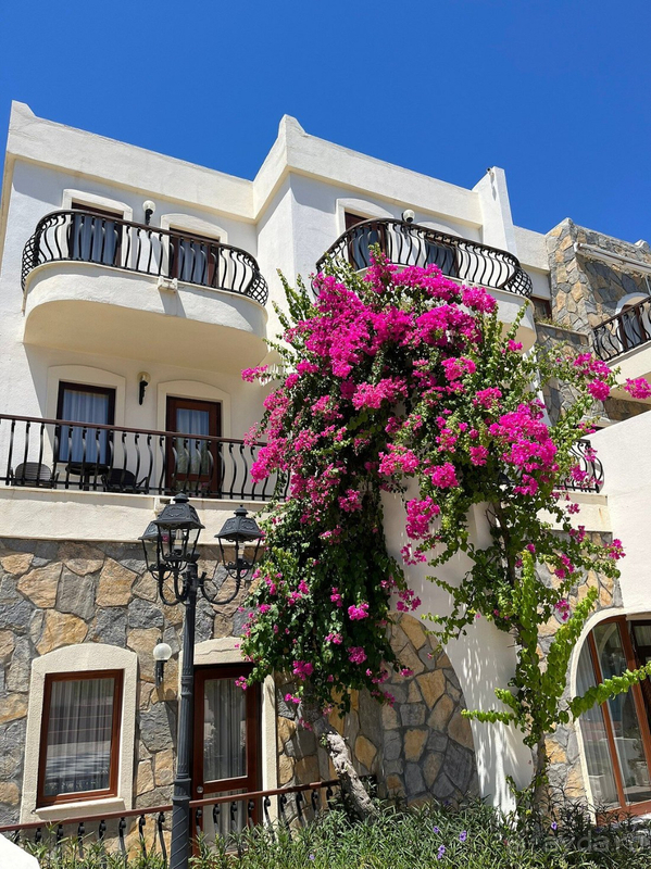 Хороший отель, прекрасное море, шикарные виды.