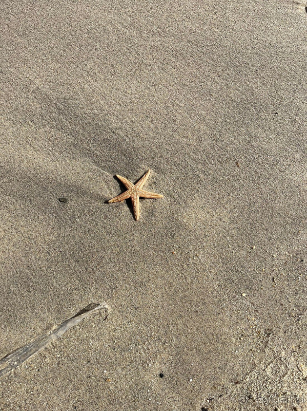 Хороший отель, прекрасное море, шикарные виды.