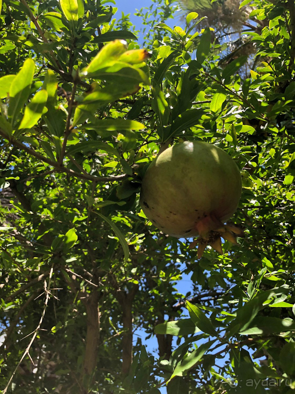 Очень позитивный отдых в замечательном месте