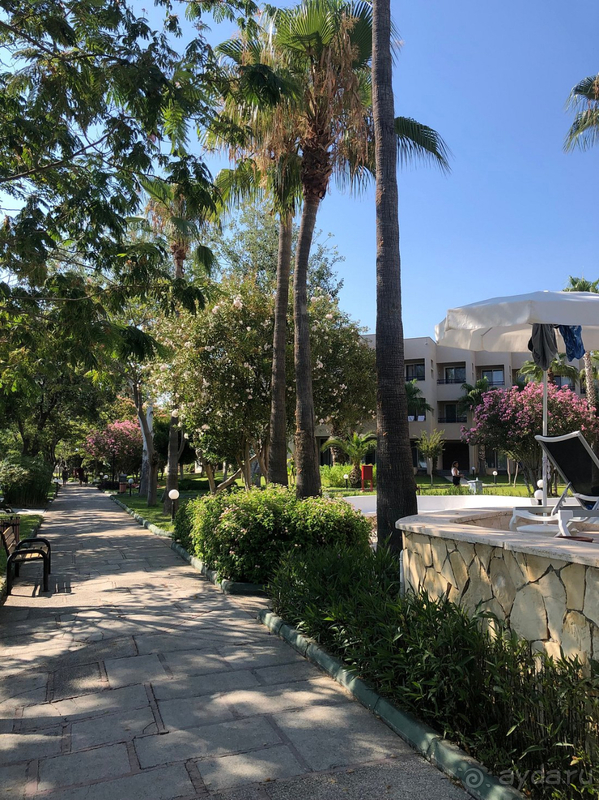 Очень позитивный отдых в замечательном месте