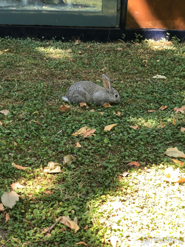 Очень позитивный отдых в замечательном месте