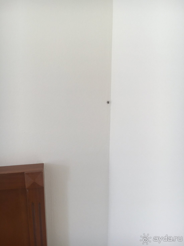 Полное разочарование