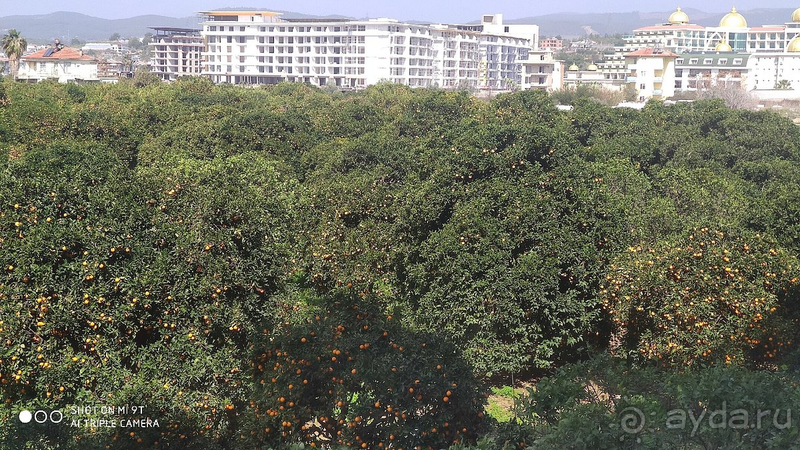 Март период нестандартного отдыха. Март период нестандартного отдыха.