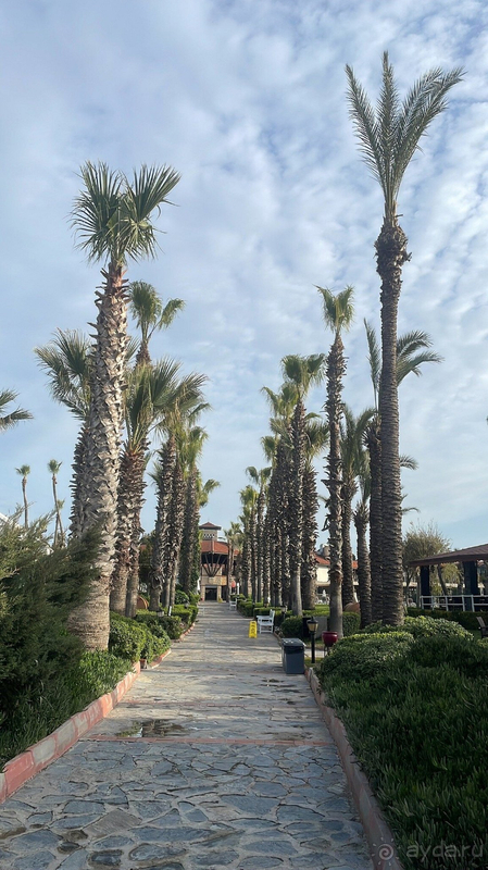 Отличный отель для отдыха семьей