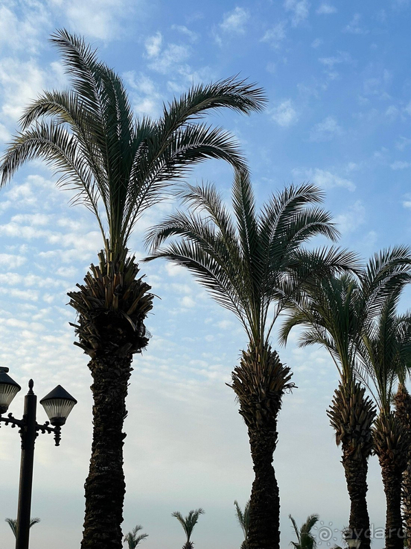 Отличный отель для отдыха семьей