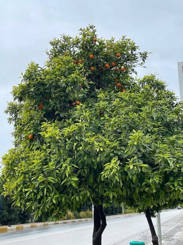 Отличный отель для отдыха семьей