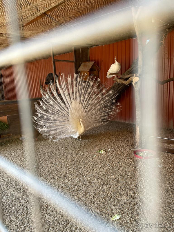 Отдых с детьми в Анапе Отдых с детьми в Анапе