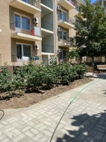 Отдых с детьми в Анапе Отдых с детьми в Анапе