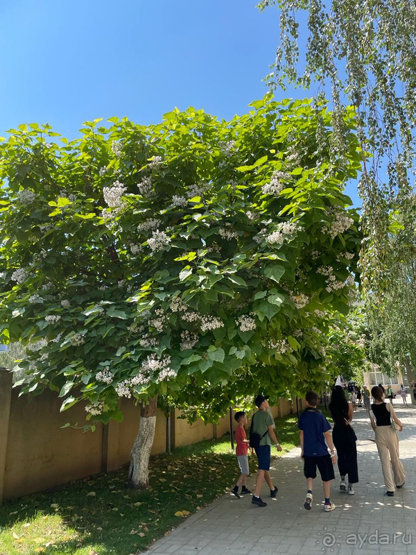 Отдых с детьми в Анапе