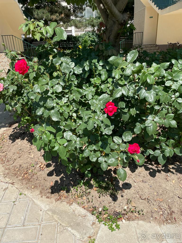 Отдых с детьми в Анапе