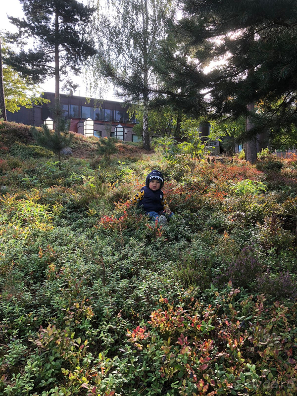 Планировали только переночевать, а остались на два дня