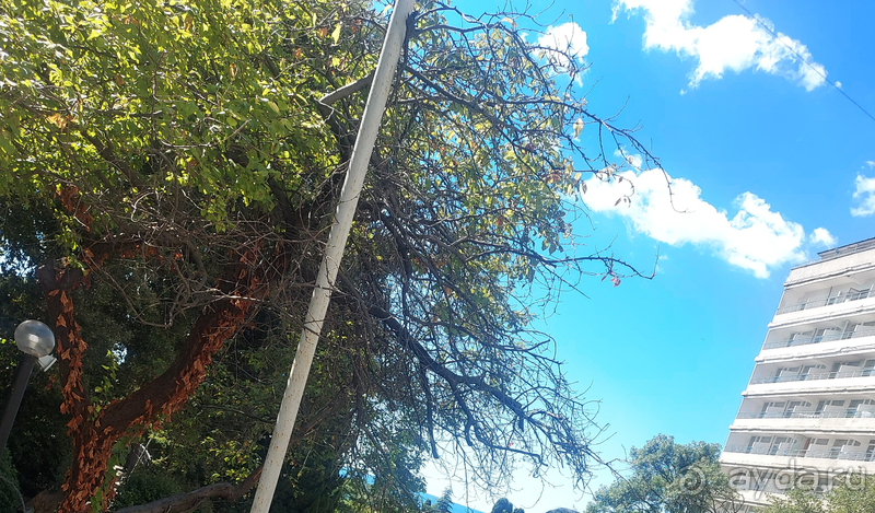 фото Мисхор