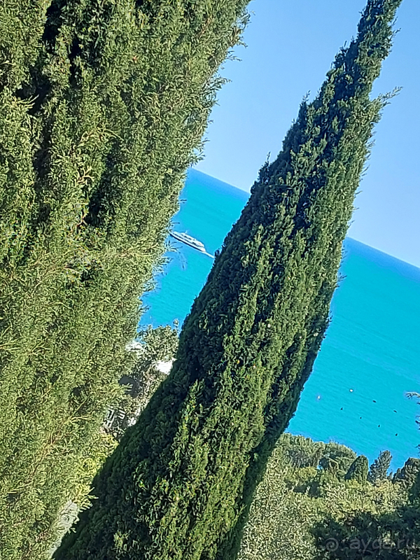 фото Мисхор