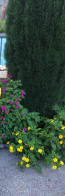 фото Мисхор