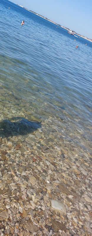 Отдых в пансионате "Приветливый берег"
