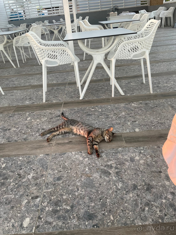 Хороший отель для семейного отдыха