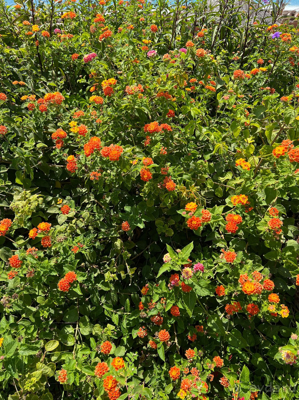 тянет только на 3 звезды