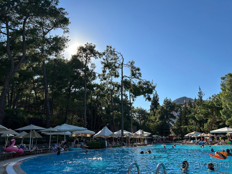 Муравейник