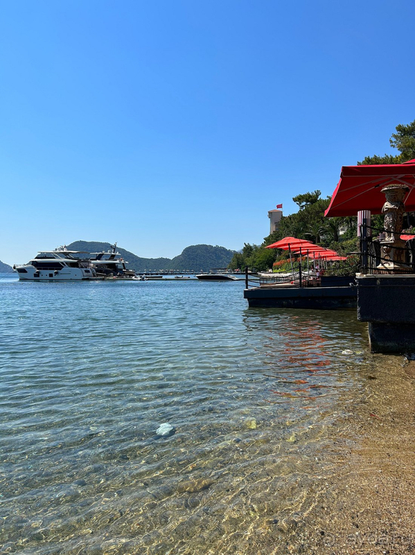 Муравейник