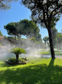 Стабильно высокий уровень