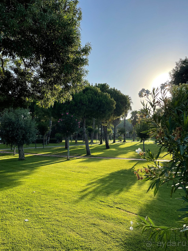 Стабильно высокий уровень