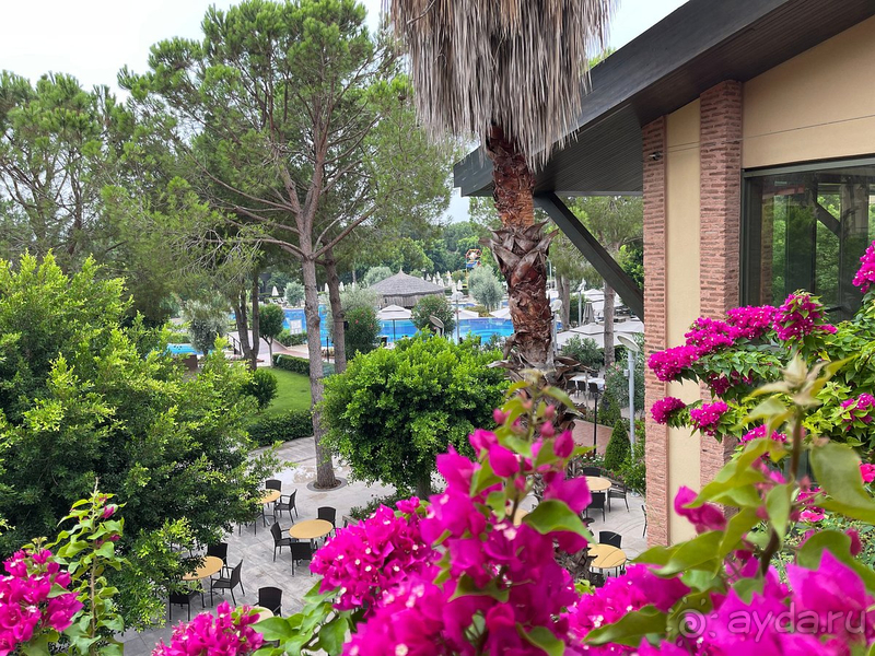 Стабильно высокий уровень