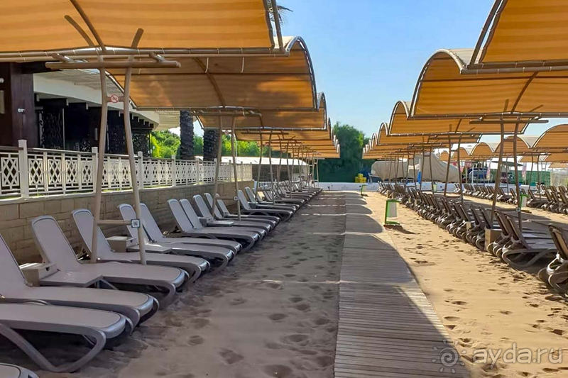 Papillon Zeugma произвел очень хорошее впечатление. 