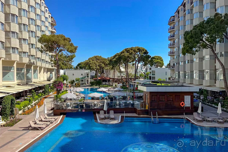 Papillon Zeugma произвел очень хорошее впечатление. 