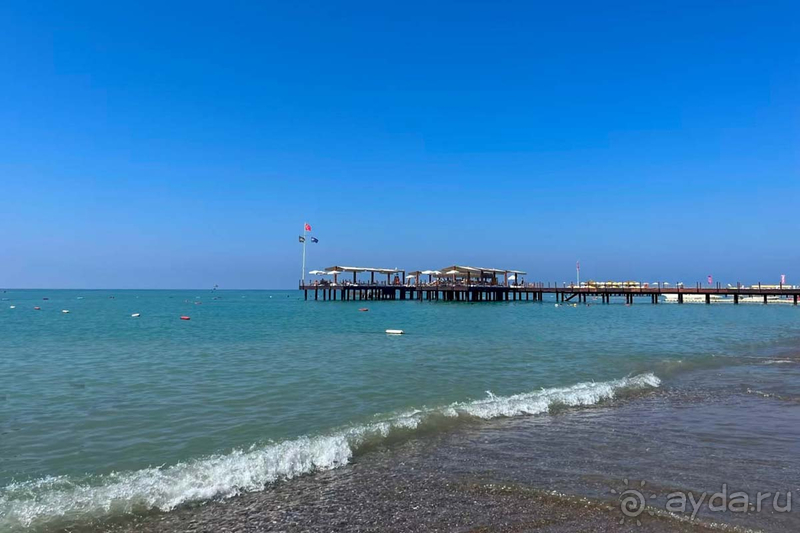 Papillon Zeugma произвел очень хорошее впечатление. 