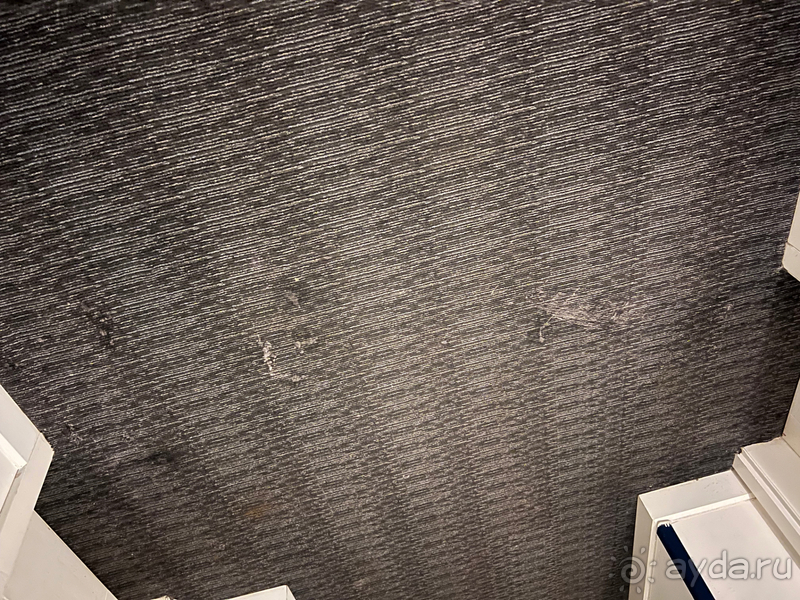 Альбом отзыва "Ничего хорошего в отеле «Orange County”"