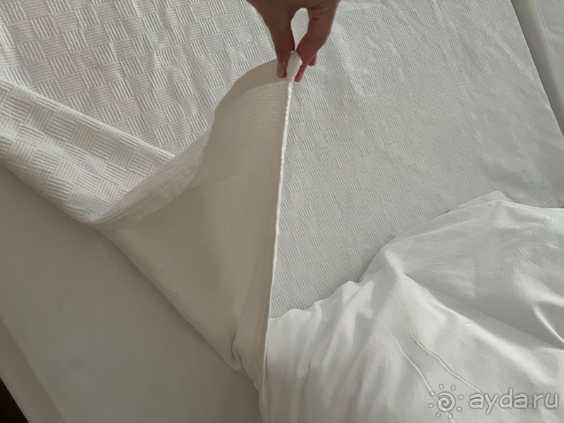 Ничего хорошего в отеле «Orange County”