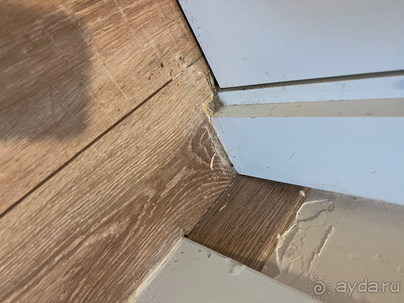 Ничего хорошего в отеле «Orange County”