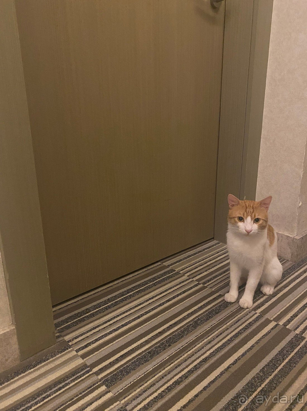 Душевно, вкусно и уютно!