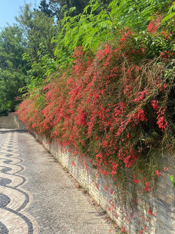Душевно, вкусно и уютно!